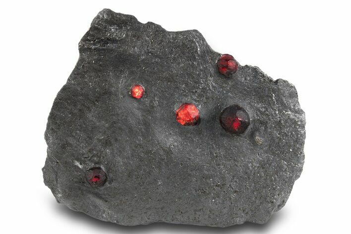 Plate of Five Red Embers Garnets in Graphite - Massachusetts #301193